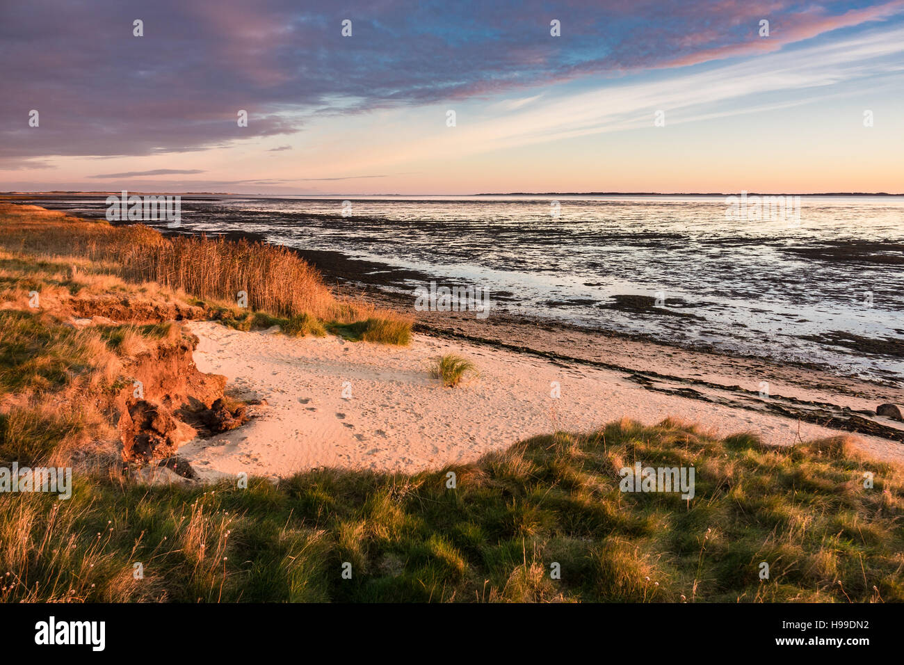 Alba sulla costa del Mare del Nord dell'isola Amrum, Germania Foto Stock