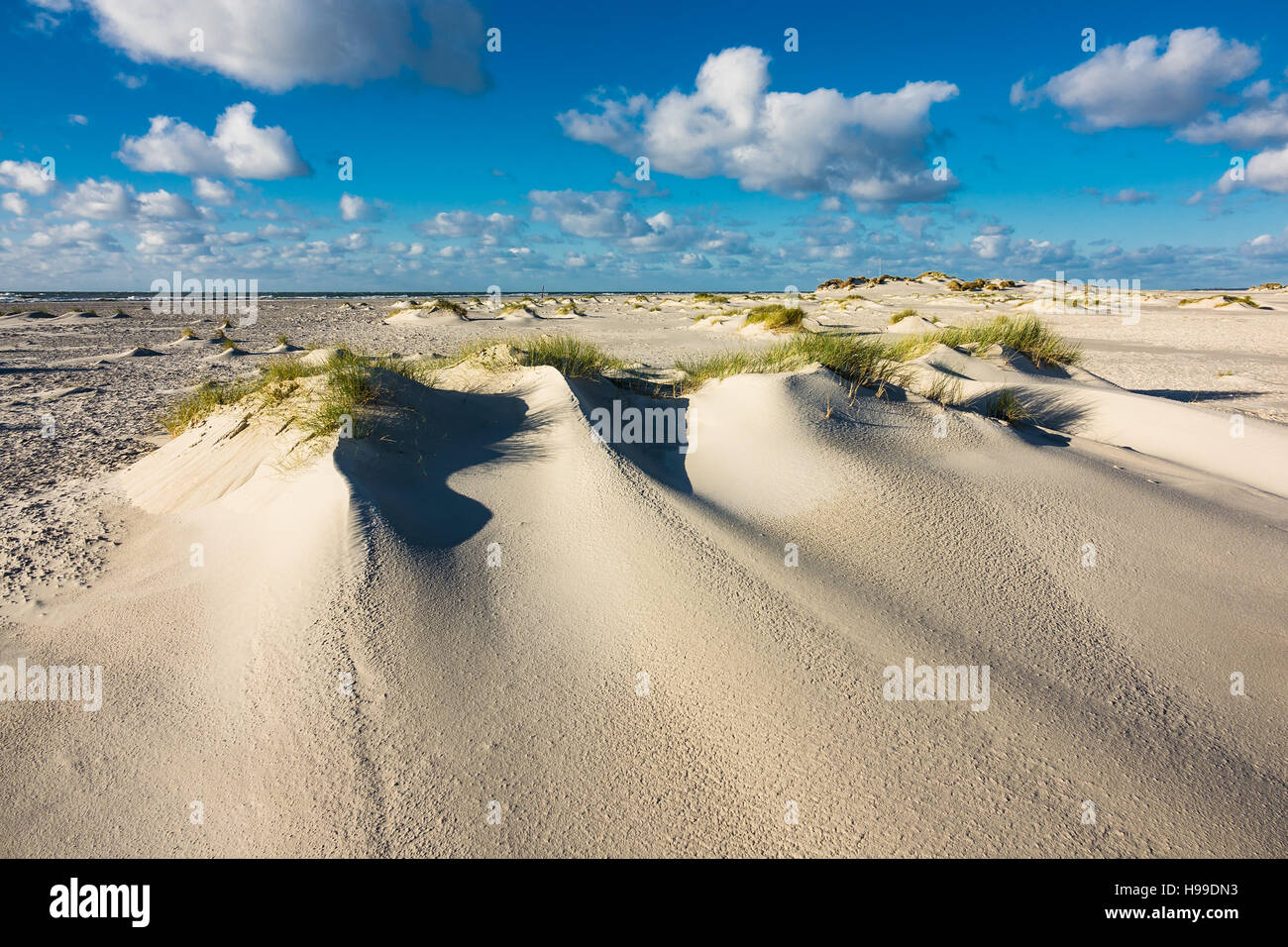 Dune sulla costa del Mare del Nord dell'isola Amrum, Germania Foto Stock