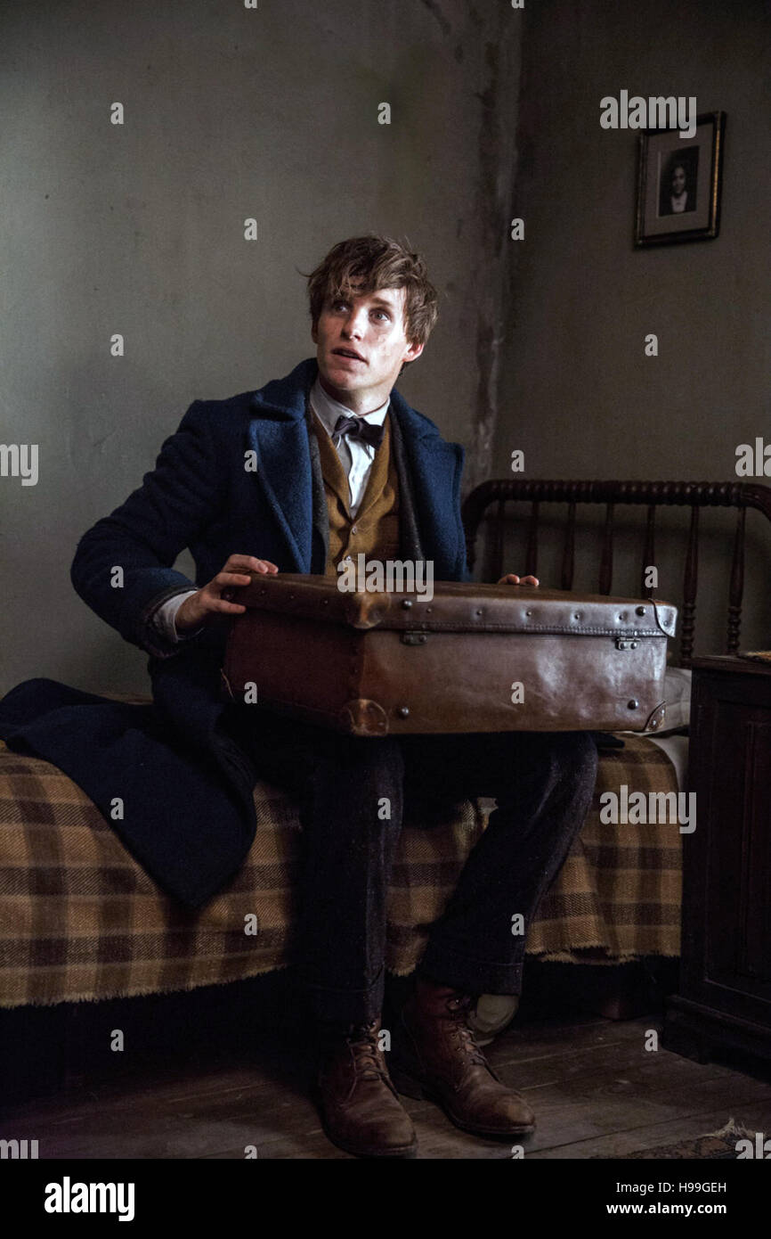 Fantastico bestie e dove trovarli è un imminente angloamericano fantasy film di fiction ispirata dal libro dello stesso nome da J. K. Rowling. Questa fotografia è per il solo uso editoriale ed è il copyright del film company e/o il fotografo assegnato dal film o società di produzione e può essere riprodotto solo da pubblicazioni in congiunzione con la promozione del film di cui sopra. Un credito per il film company è richiesto. Il fotografo deve anche essere accreditato quando noto. Foto Stock