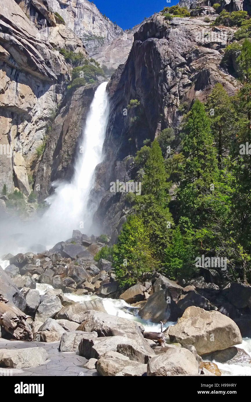 Yosemite inferiore rientrano nel Parco Nazionale di Yosemite in California, Stati Uniti d'America Foto Stock