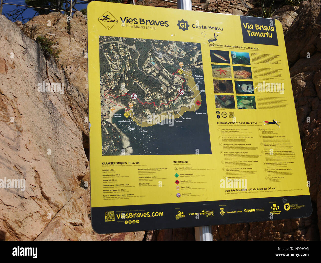 Mappa di passeggiate e snorkeling nelle zone a Tamariu, Costa Brava Foto Stock