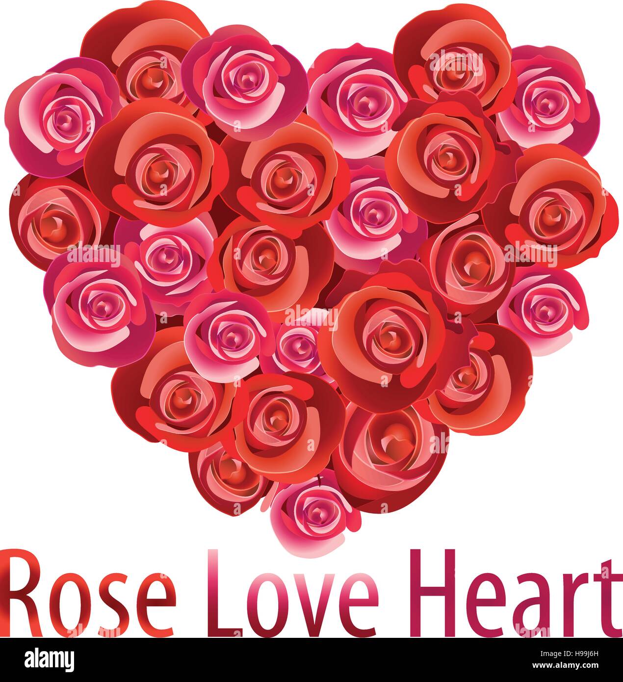 Illustrazione dei vettori di Rosa amore cuore Illustrazione Vettoriale
