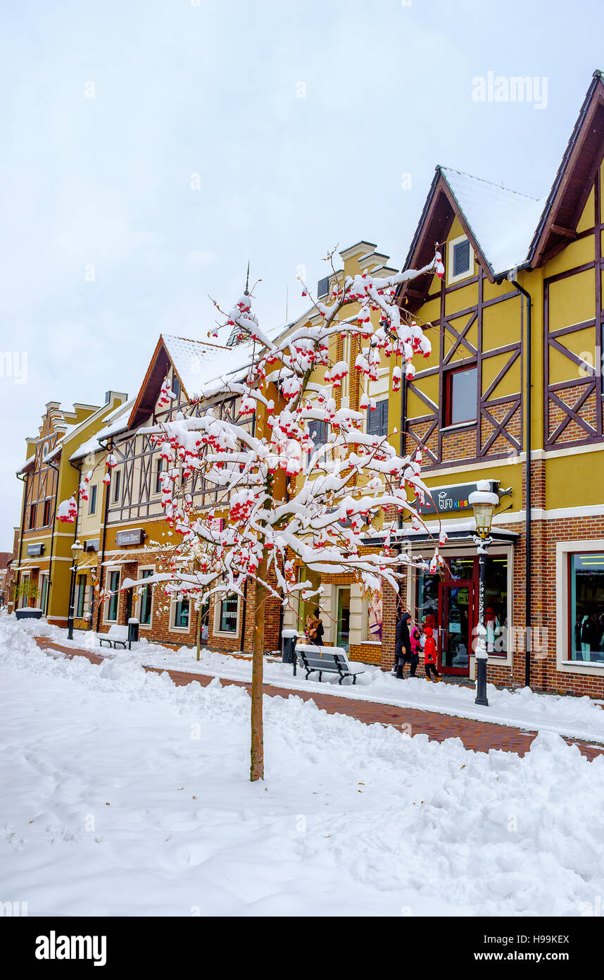 Il paradiso innevato albero della mela con la Scenic case di stile olandese città di uscita sullo sfondo, Kiev Foto Stock