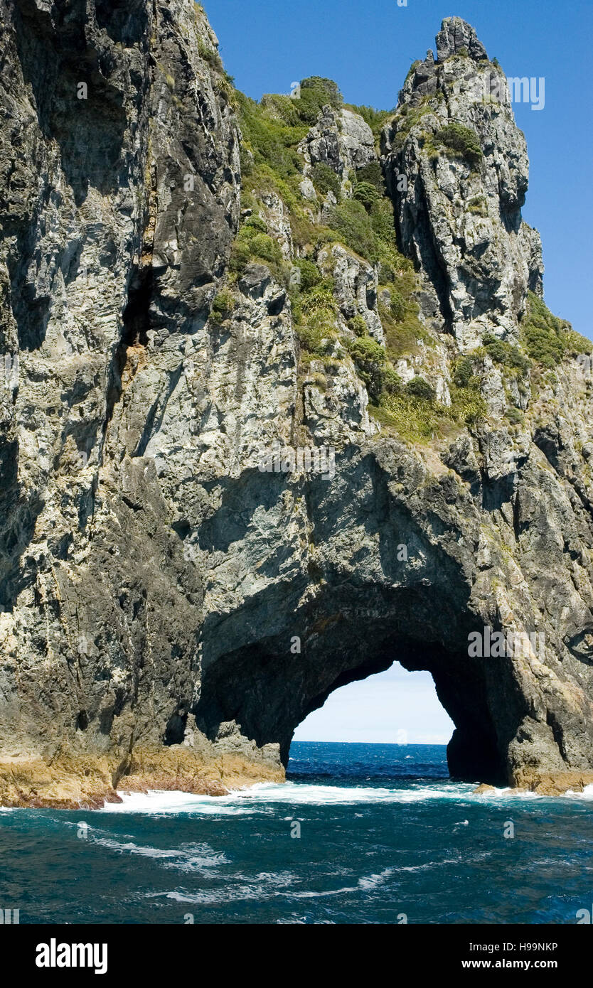 Foro nella roccia, Bay of Islands, Paihia ,Russell, Waitangi, Isola del nord, Nuova Zelanda. Foto Stock