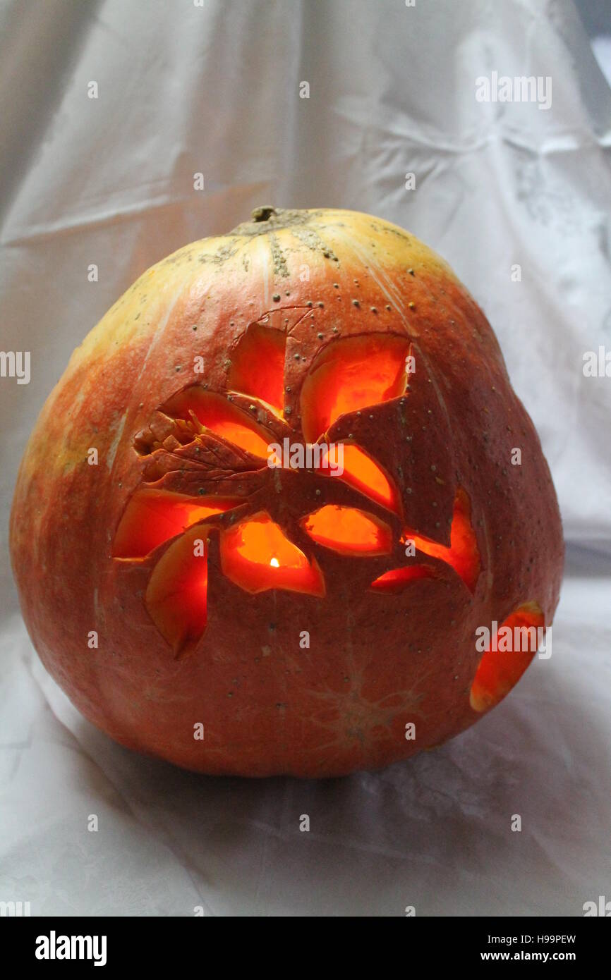 Grande arancione zucca succosa con immagine di fiore con masterizzare candela interna lanterna sulla notte di Halloween party Foto Stock