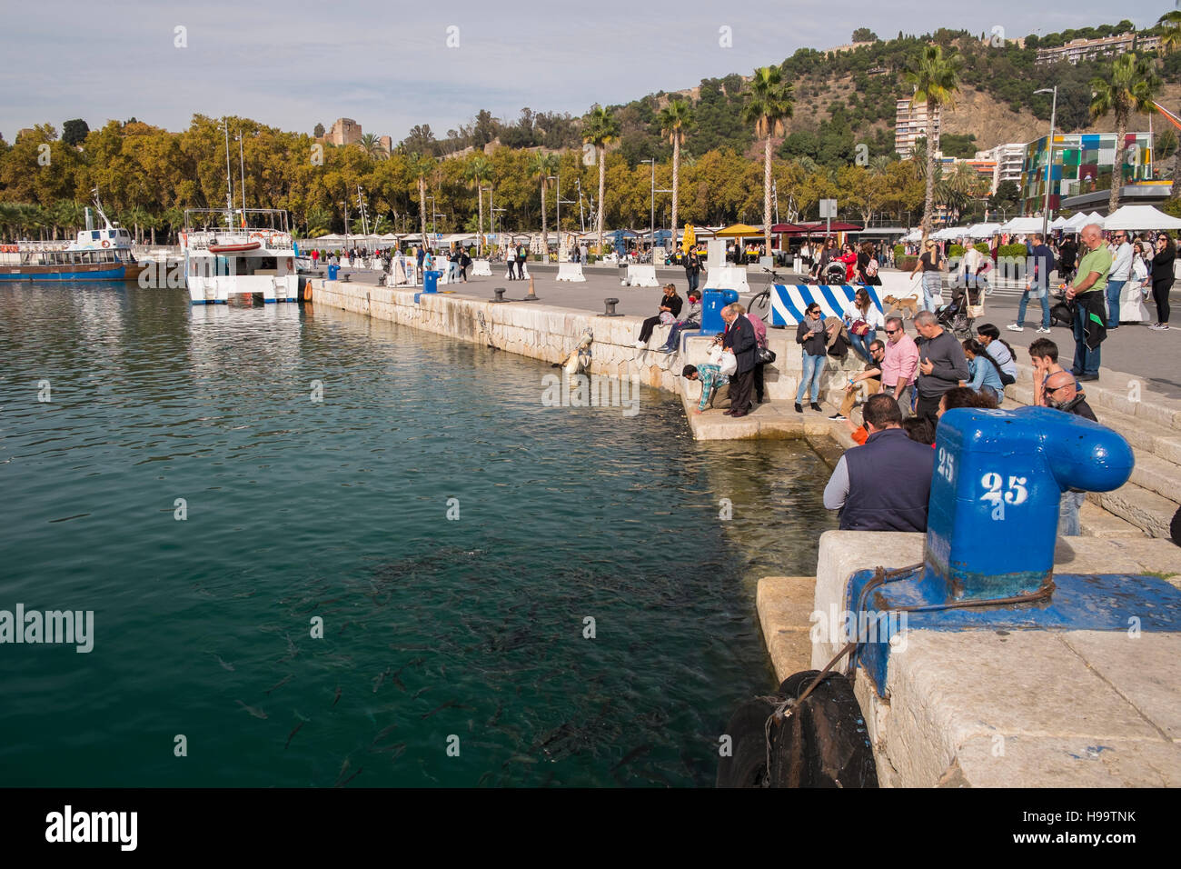 Le persone che cercano e alimentazione di pesci. Porto di Malaga, Andalusia, Spagna Foto Stock