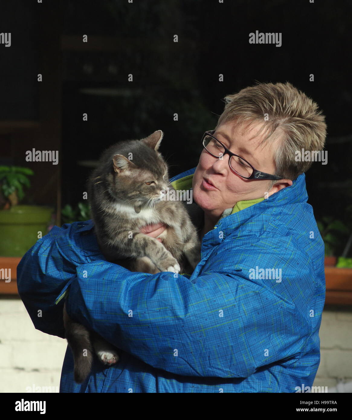 Gattara pazza Foto Stock