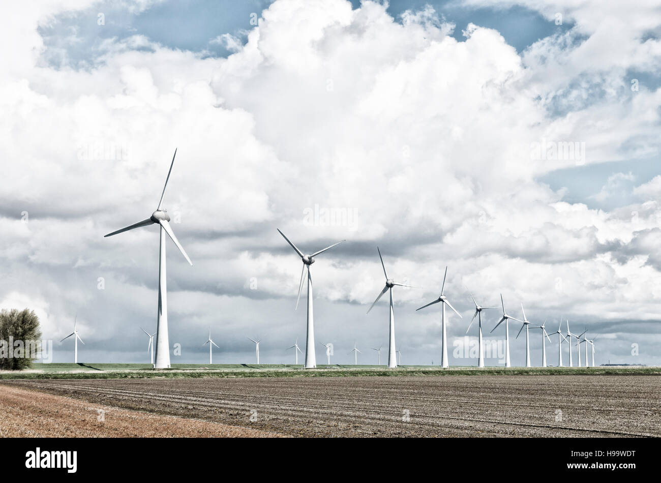 Fila di turbine eoliche in un agricolo olandese aspro paesaggio filtrata Foto Stock