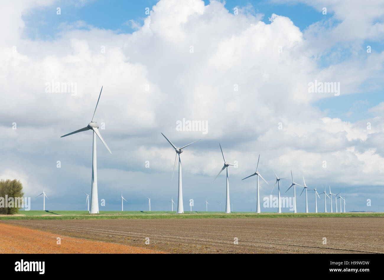 Fila di turbine eoliche in un agricolo paesaggio olandese Foto Stock
