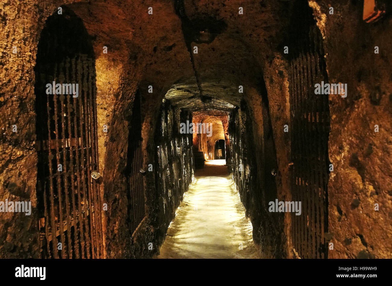 Vecchio grotte con archi e vino di Tokaj valley in Slovacchia. Foto Stock