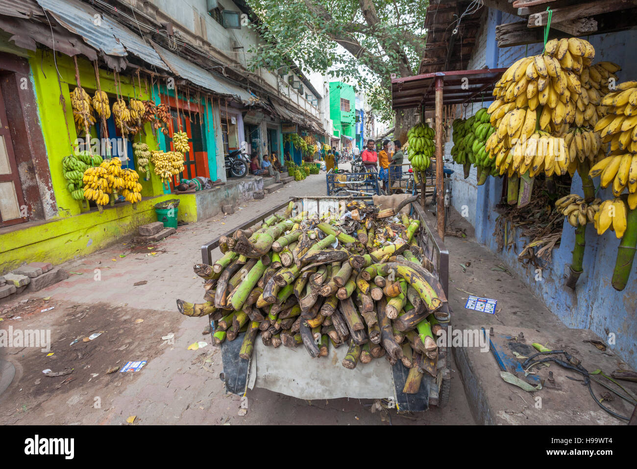 Frutti per la vendita in una stradina a Madurai, India - la canna da zucchero e banane Foto Stock