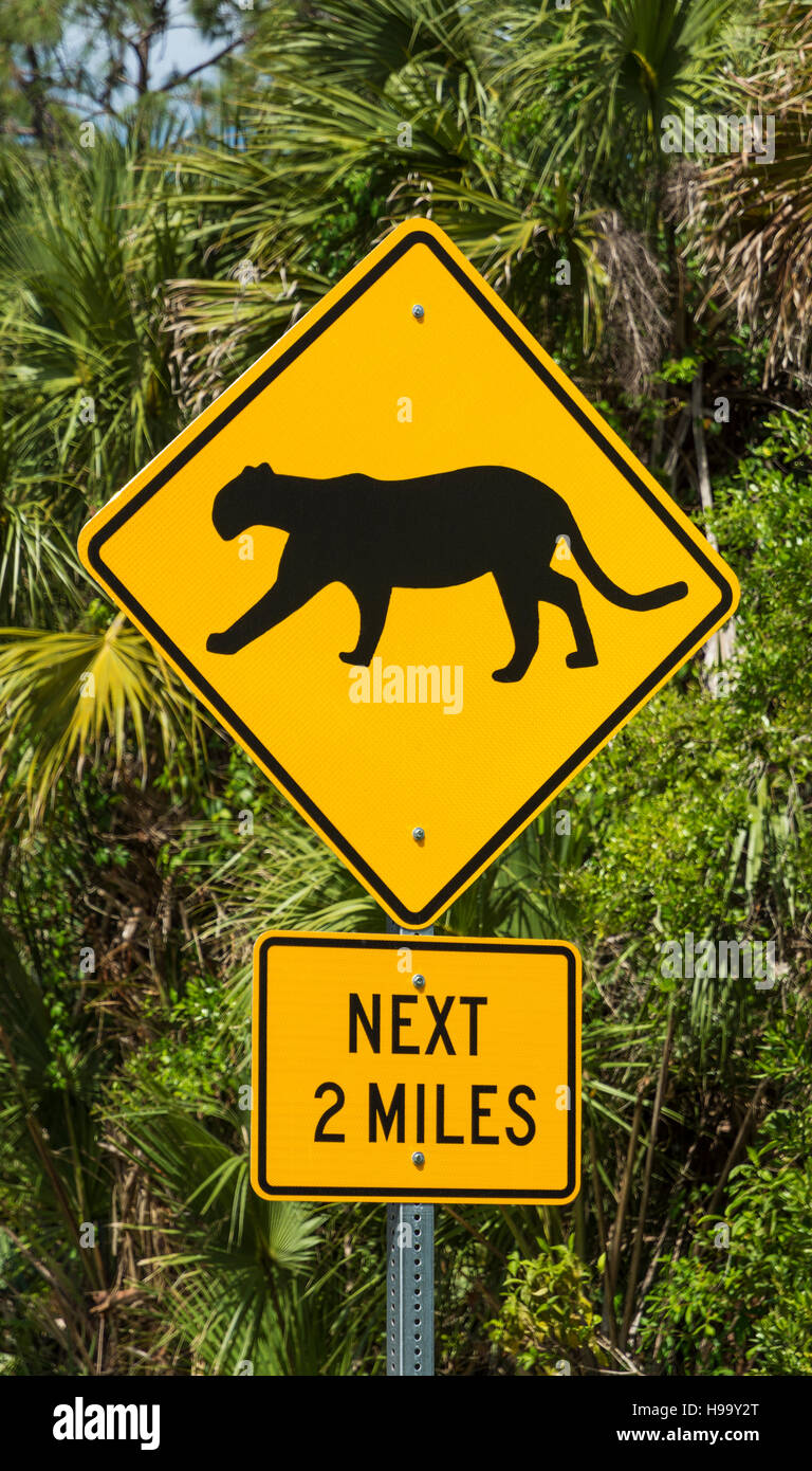 Florida Panther cartello segnaletico, Hwy 92, Collier-Seminole parco dello stato Foto Stock