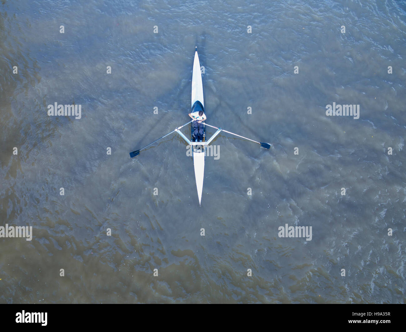 I canottieri lungo il fiume Tamigi Foto Stock