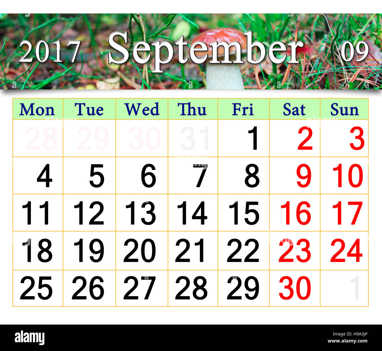 Calendario per il mese di settembre 2017 con l'immagine di piccoli funghi porcini Foto Stock