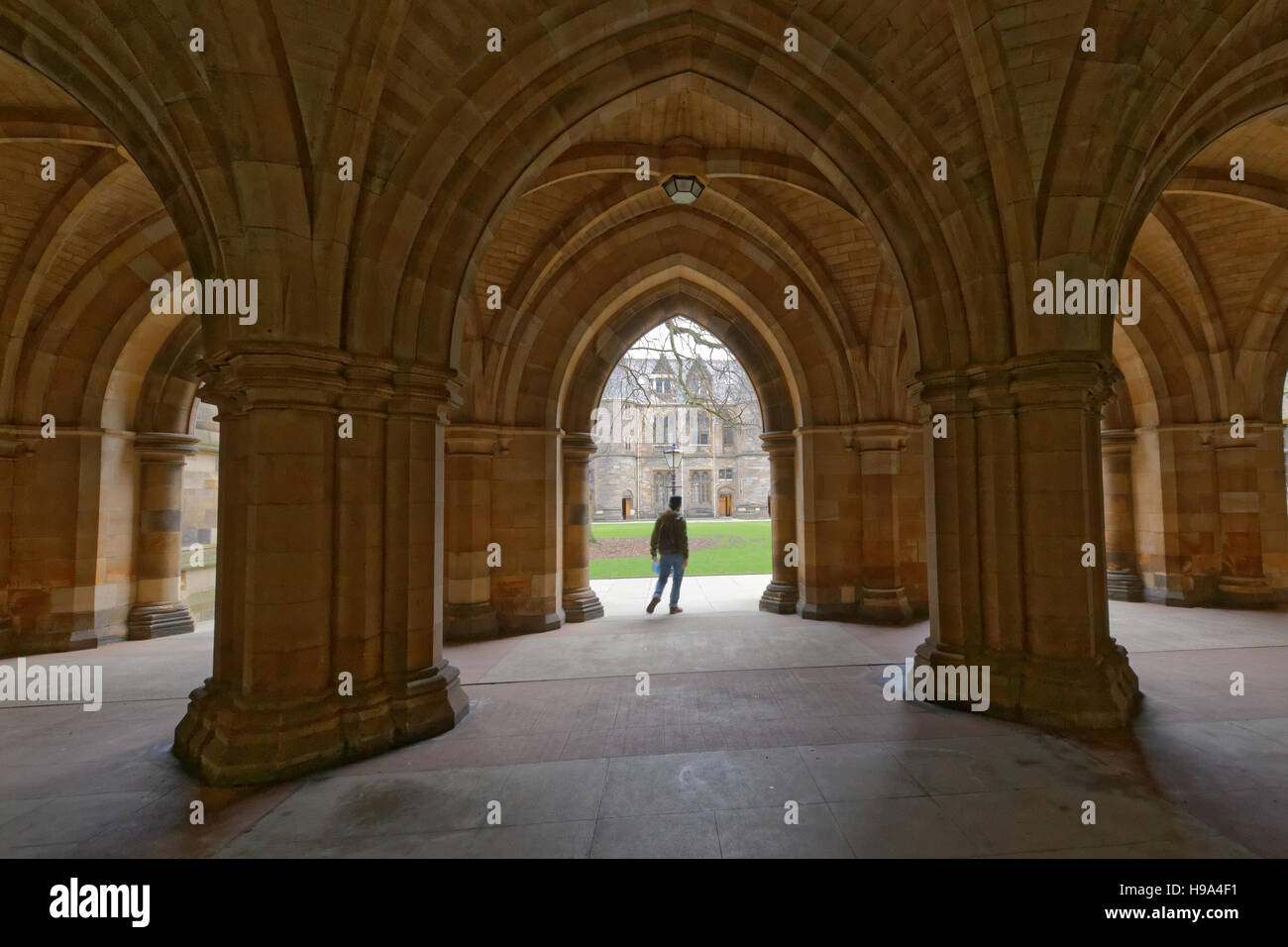 Università di Glasgow chiostro quadriportico, nella zona del parco della città benestante di west end Foto Stock
