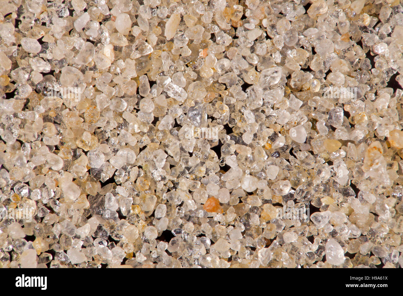 Sabbia dall isola di Föhr Germania, alta vista macro che illustra in generale la struttura della granella Foto Stock