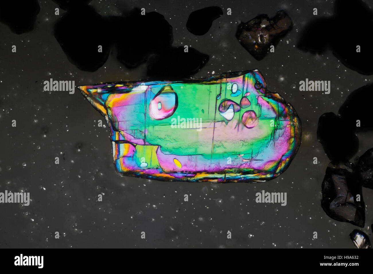 Sabbia con Cassiterite & Columbite, polarizzati fotomicrografia Foto Stock