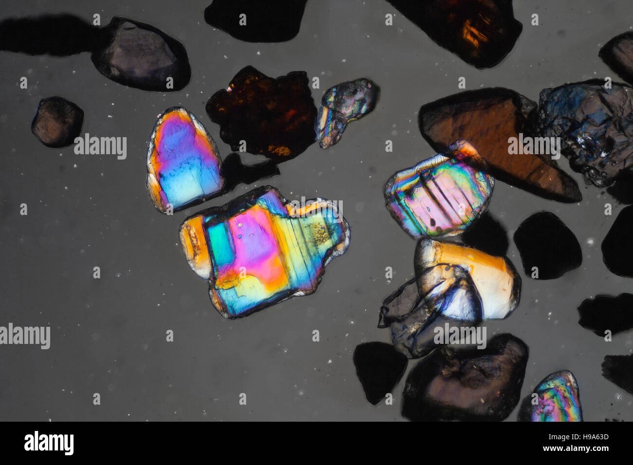 Sabbia con Cassiterite & Columbite, polarizzati fotomicrografia Foto Stock