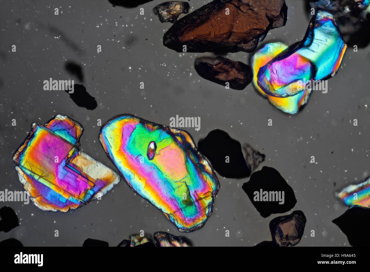 Sabbia con Cassiterite & Columbite, polarizzati fotomicrografia Foto Stock