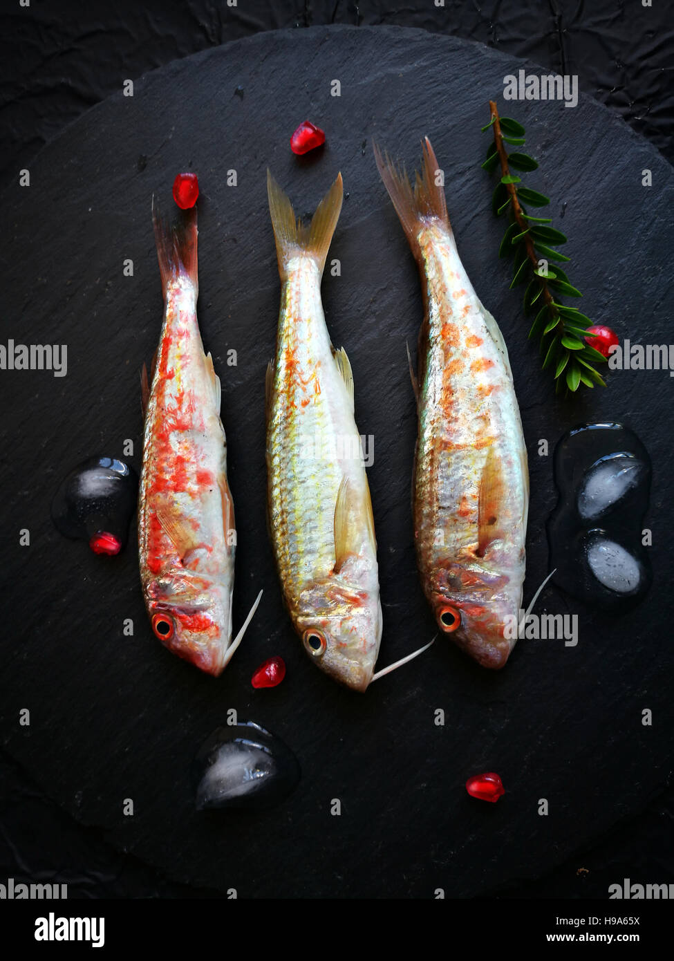 Pesce crudo surmullet su una pietra nera Foto Stock