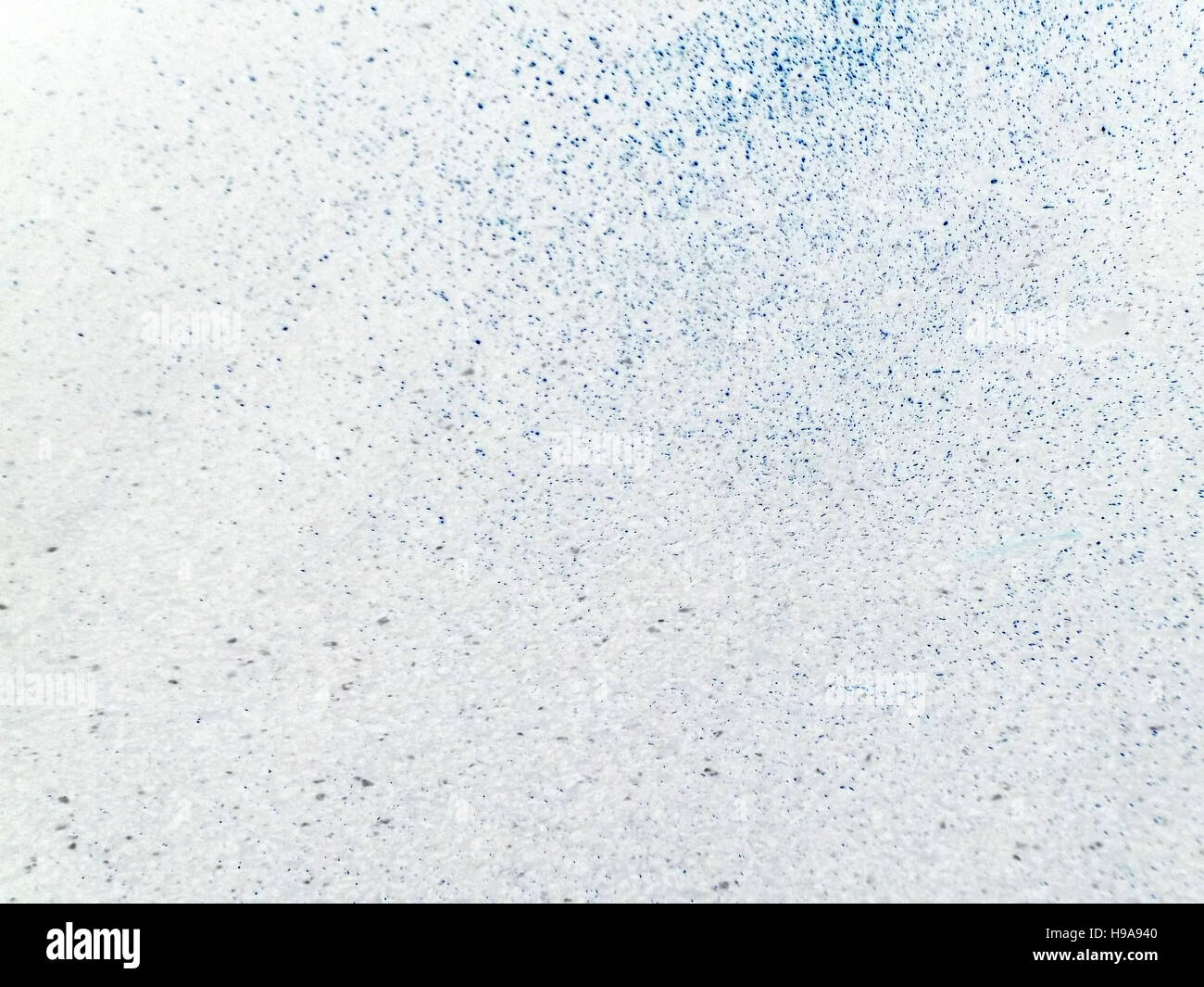 Pezzata, blu turchese e punti neri su sfondo bianco. Foto Stock