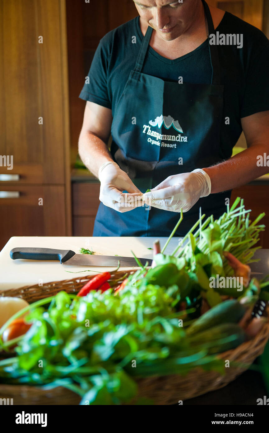 Un turista partecipa in una cucina Tailandese lezioni di cucina presso Thanyamundra Resort organico al di fuori di Khao Sok, Thailandia. Foto Stock