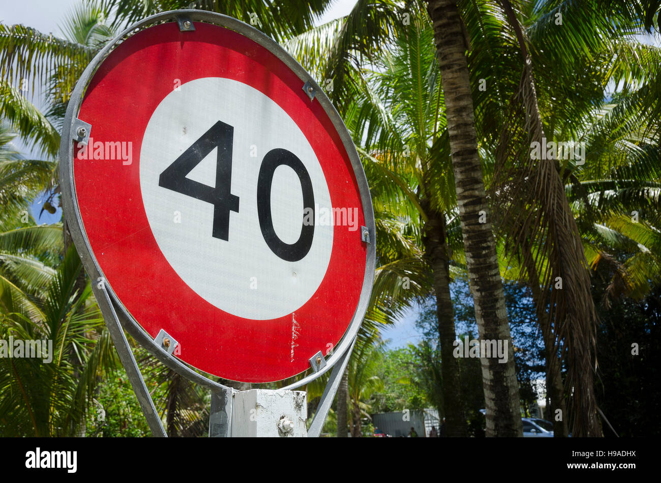 Segnale di limite di velocità a fianco di alberi di cocco, Anaiki, Niue, South Pacific Oceania Foto Stock