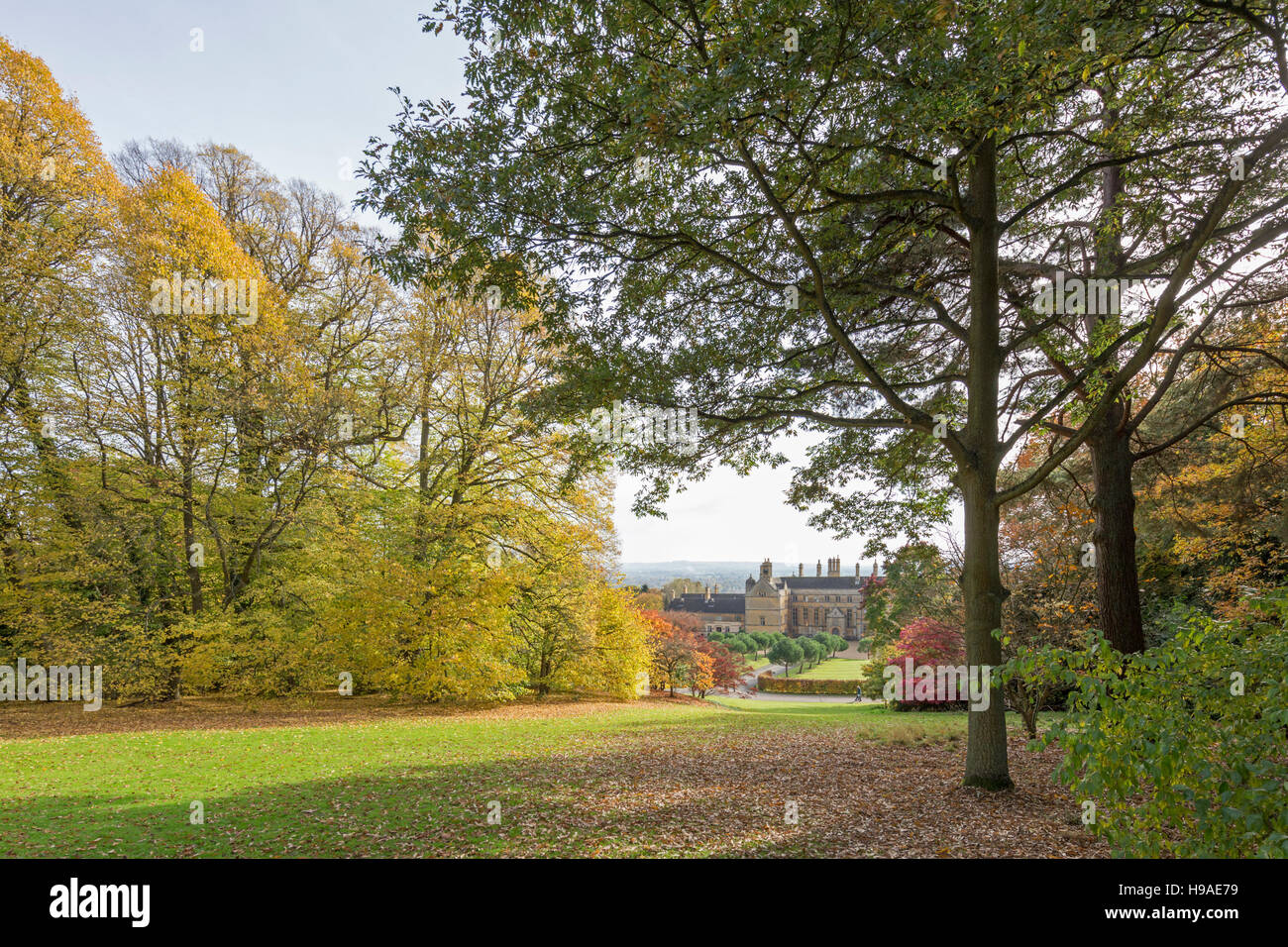 Batsford house e arboretum in autunno, Gloucestershire, England, Regno Unito Foto Stock