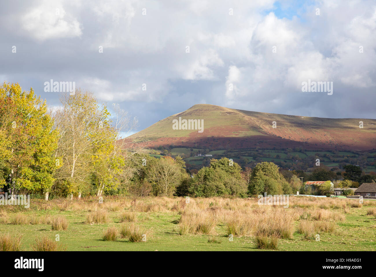 Mynydd Llangorse montagna, Parco Nazionale di Brecon Beacons, Wales, Regno Unito Foto Stock