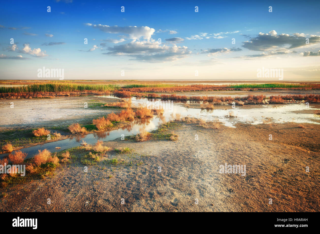 Flusso di acqua minerale passa dal terreno asciutto sotto il bellissimo cielo. Panorama della natura nei pressi di Salt Lake Elton. Regione di Astrakhan, Russia Foto Stock