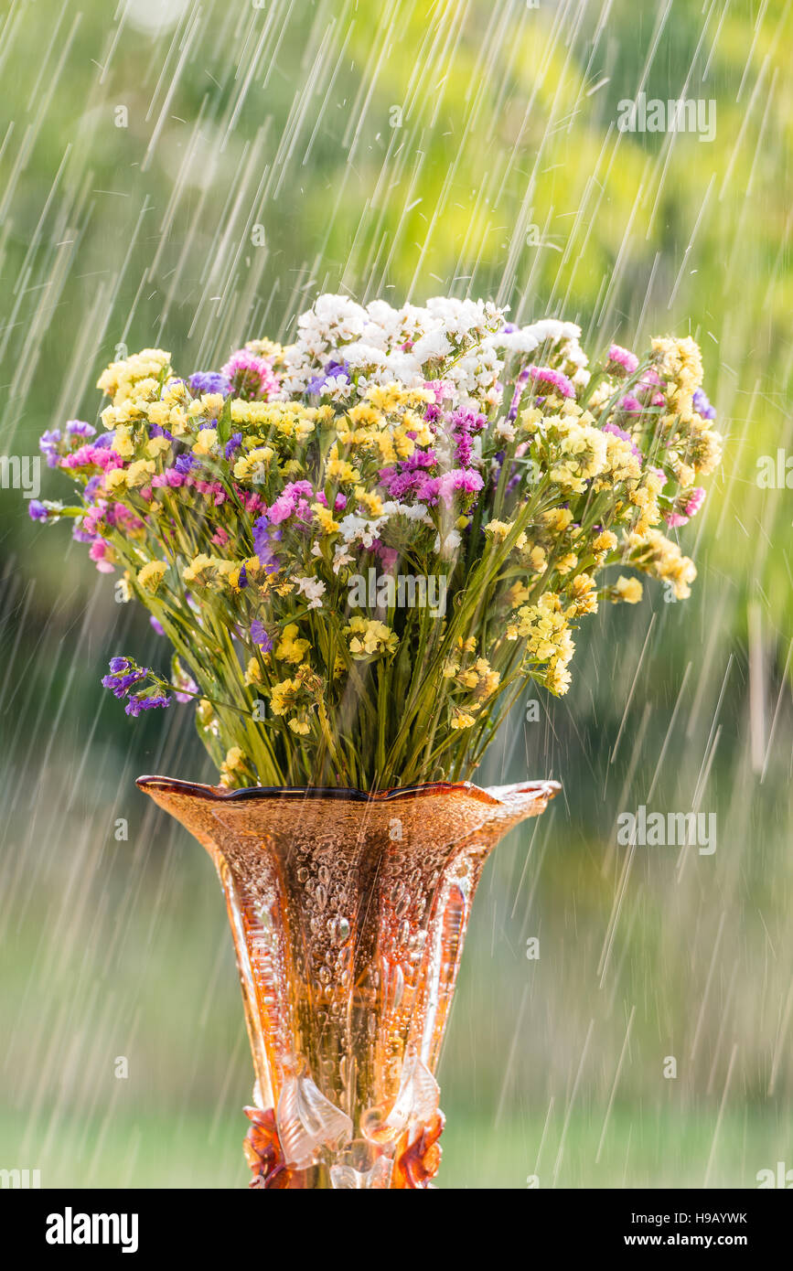 Un mazzo di fiori e una pioggia di estate Foto Stock