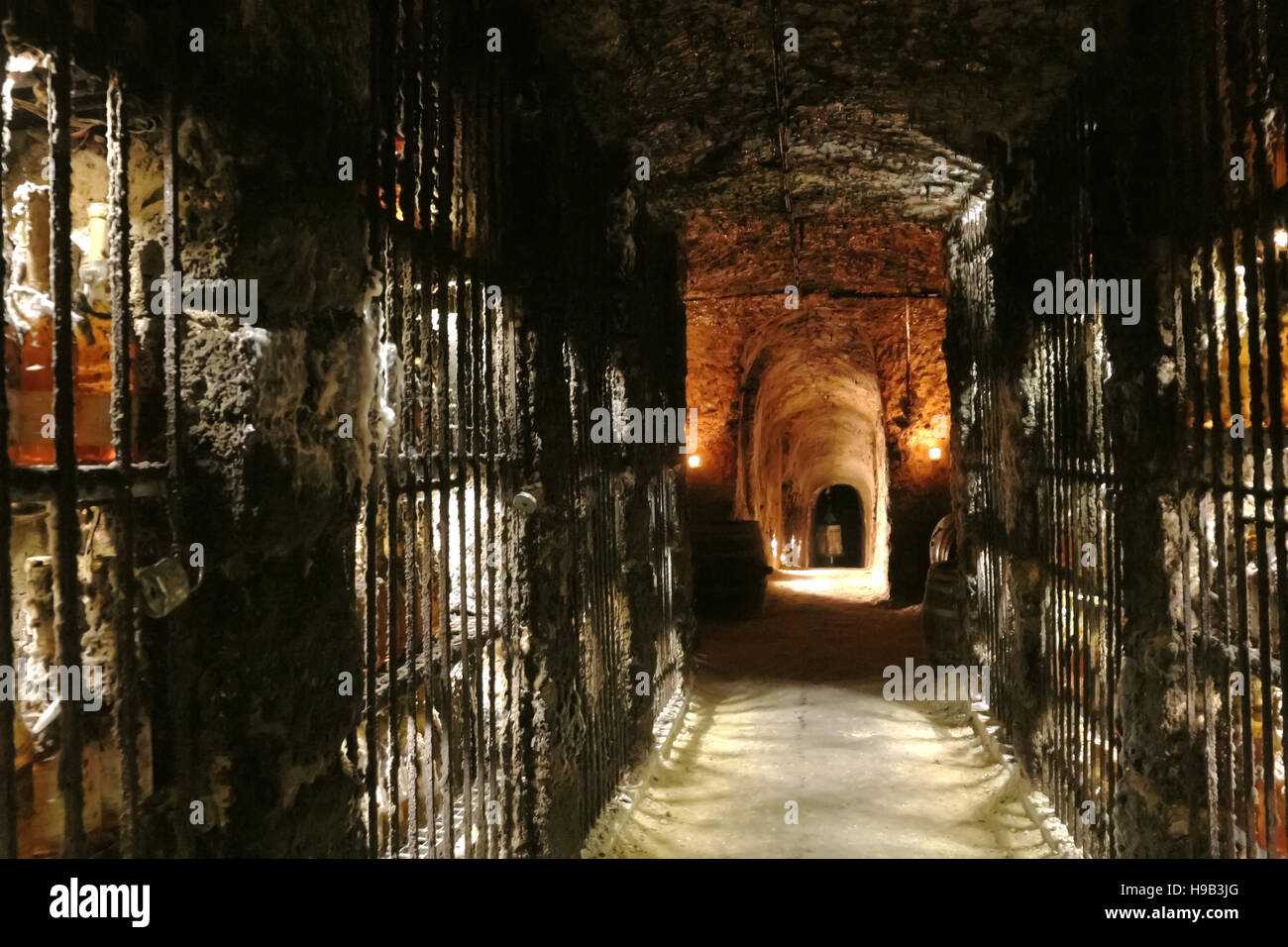 Vecchia cantina con archi e le bottiglie di vino in Mala Trna village, Tokaj valley, Slovacchia. Foto Stock