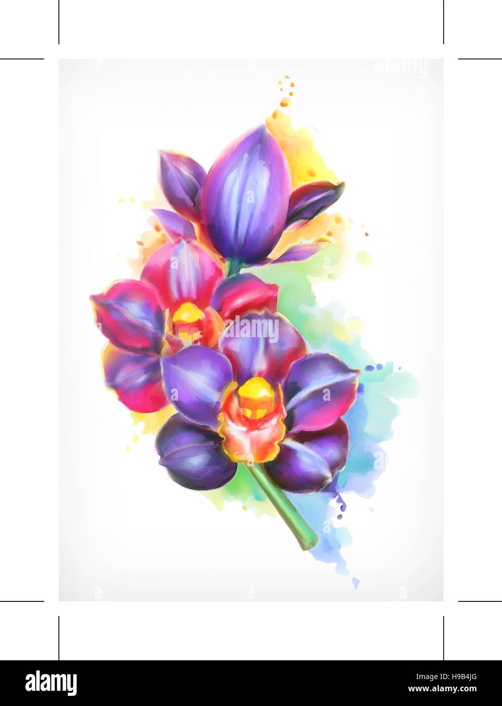 Bellissime orchidee, pittura ad acquarello, vettore di maglia Illustrazione Vettoriale