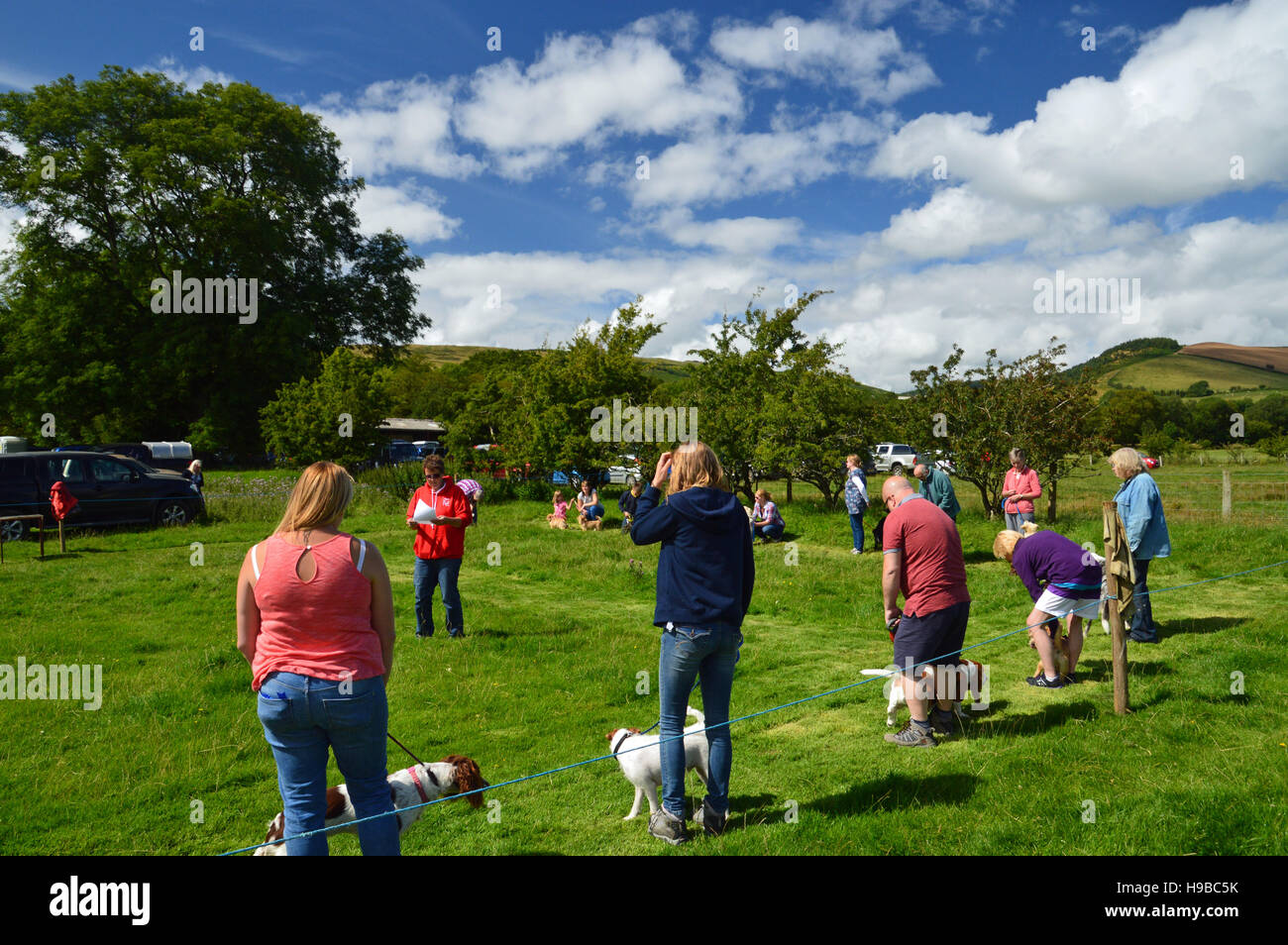 Dog show a Llanwrtyd Wells Village spettacolo agricolo, POWYS, GALLES Foto Stock