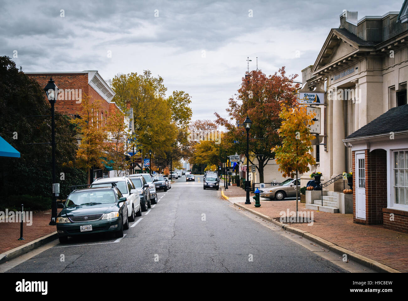 Colore di autunno lungo Dover Street a Easton, Maryland. Foto Stock