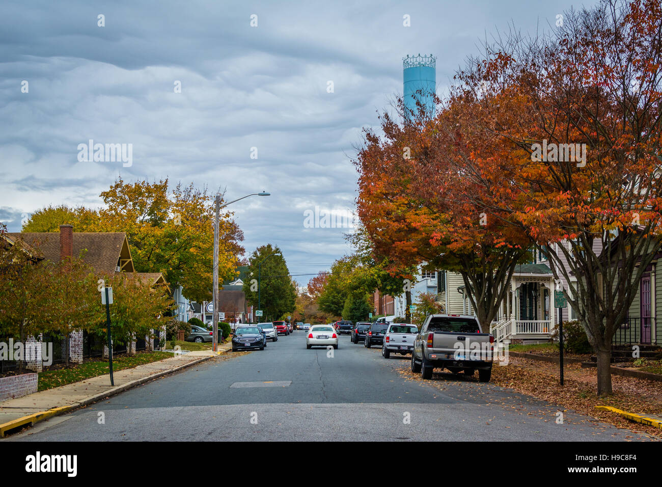 Colore di autunno lungo Hanson Street, a Easton, Maryland. Foto Stock