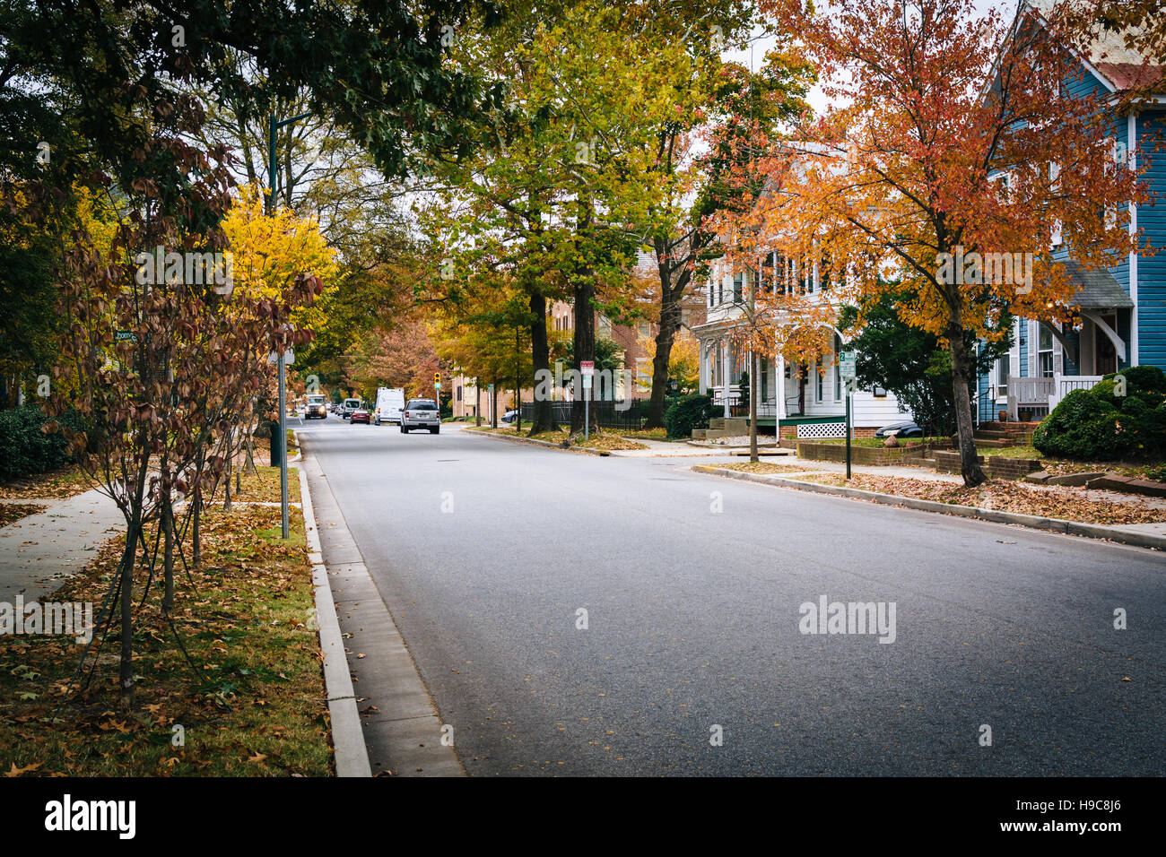 Colore di autunno e case lungo Goldsborough Street, a Easton, Maryland. Foto Stock