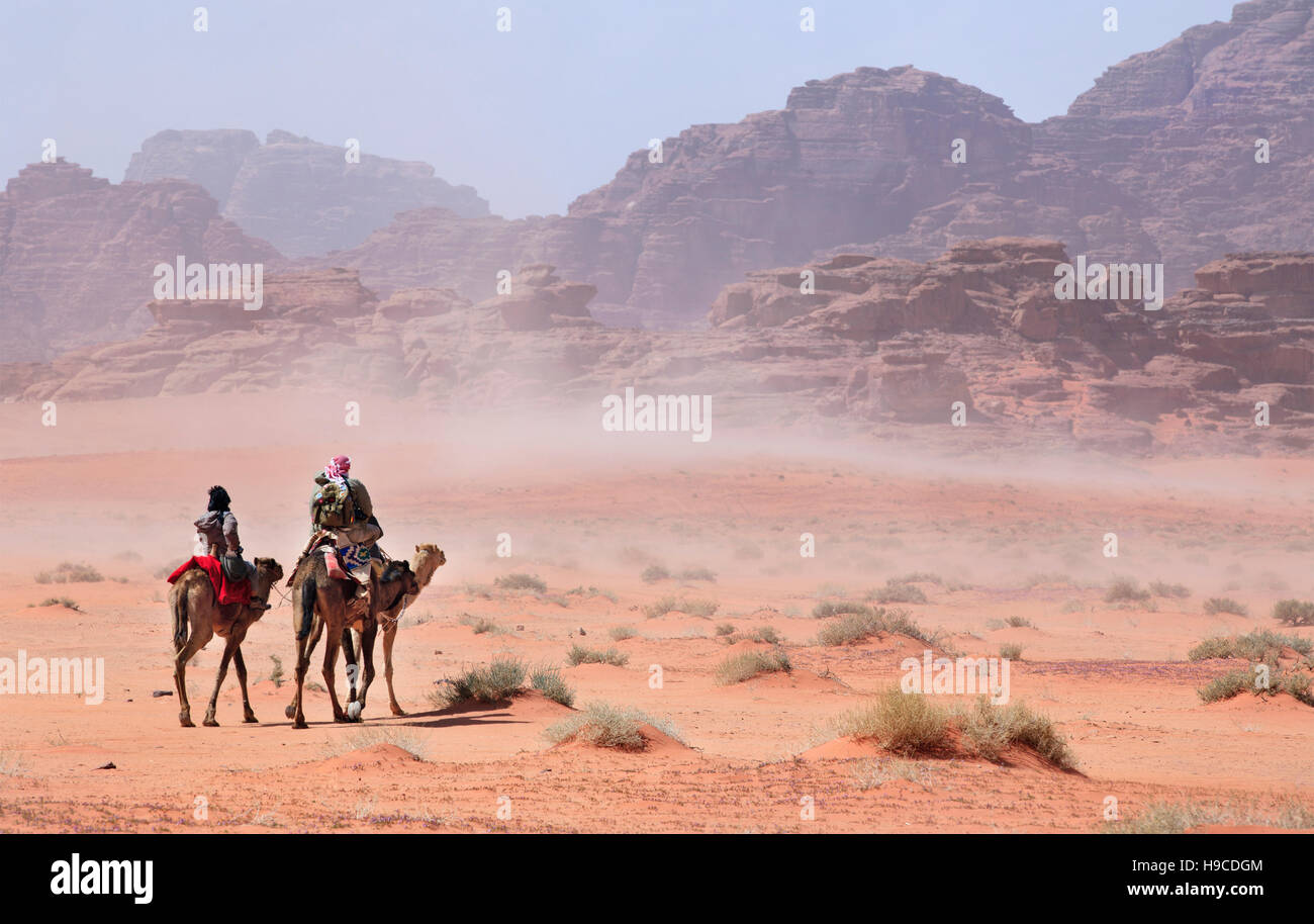 La gente sui cammelli passando attraverso la tempesta del deserto Foto Stock