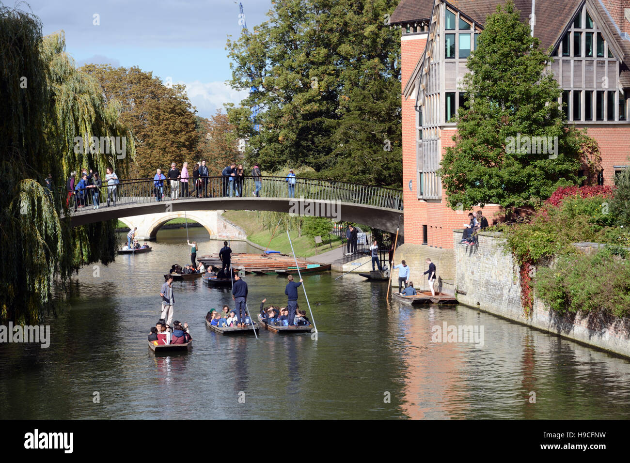 Punting sul fiume Cam, Cambridge. Foto Stock