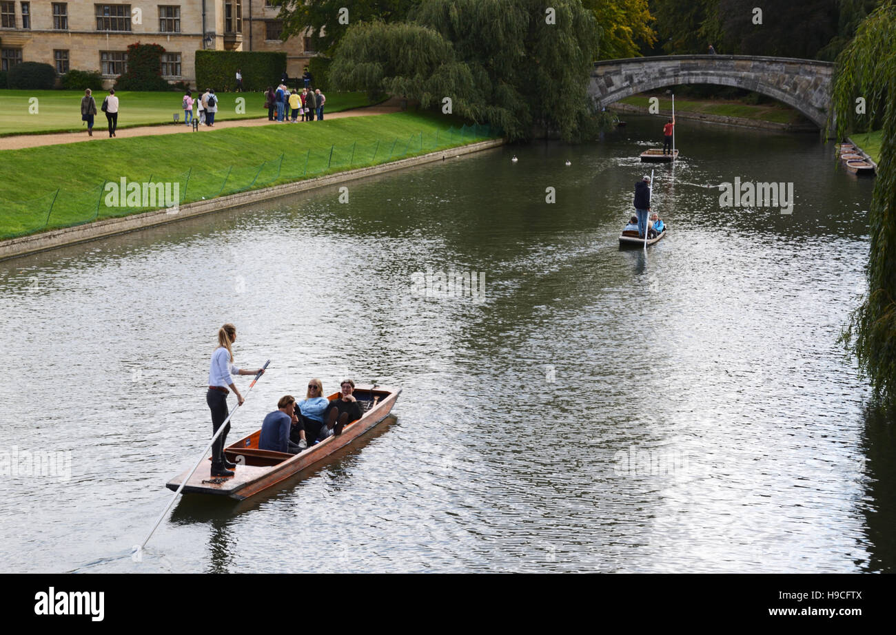 Punting sul fiume Cam, Cambridge. Foto Stock