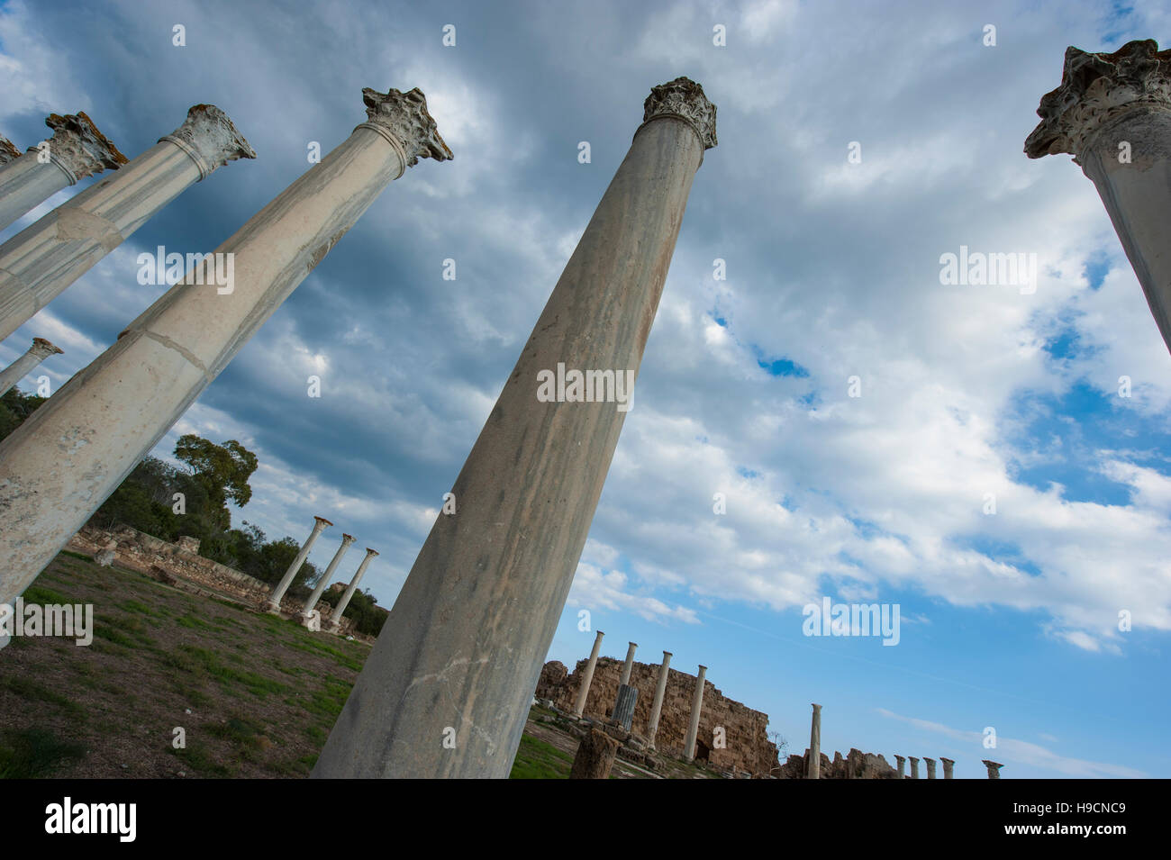 Salumi e un greco antico città-stato sulla costa orientale di Cipro. Foto Stock