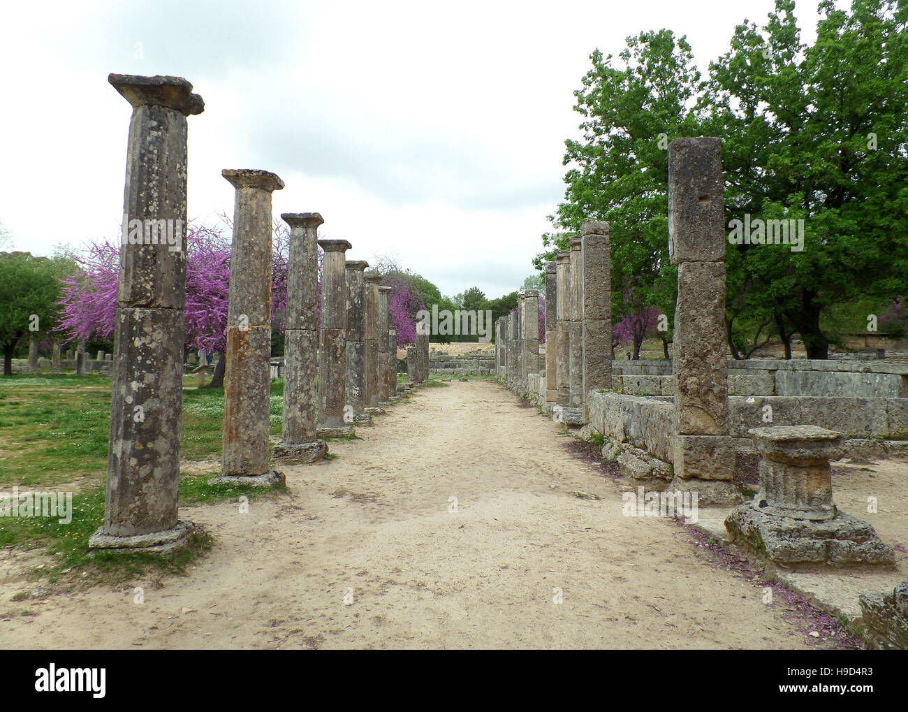 Splendide rovine all'interno del sito archeologico di Olimpia in Grecia Foto Stock