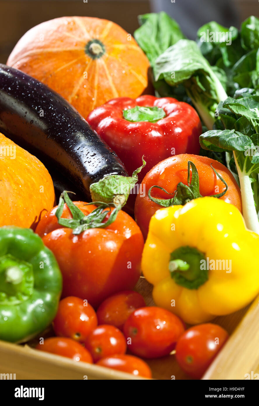 Frutta e verdure come pomodori, zucca, meloni, peperoncino e uva disposti in un gruppo, naturale ancora in vita per il cibo sano Foto Stock
