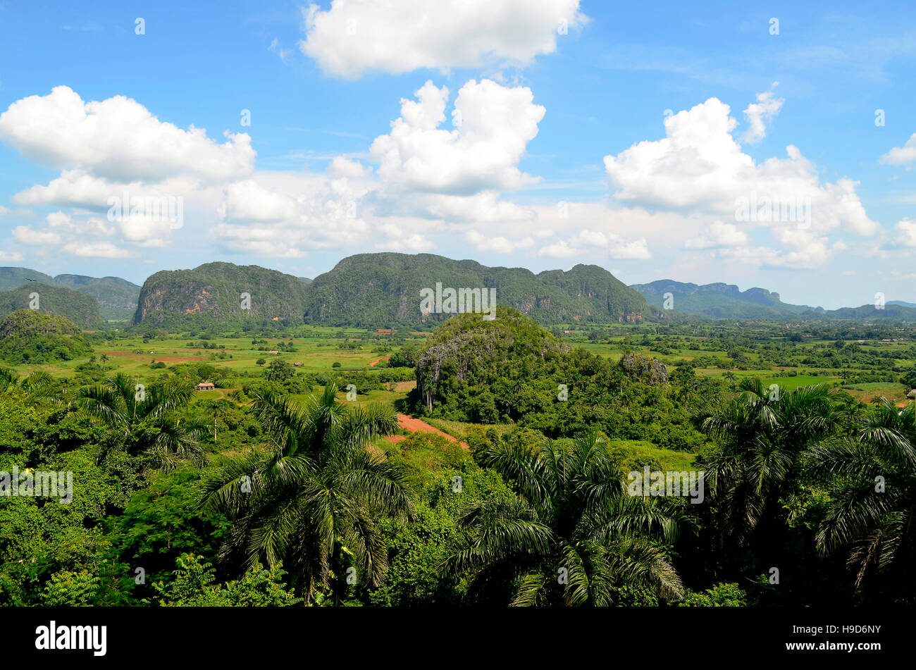 Vista generale della valle di Viñales, una composizione di verde dei campi e montagne, noto come mogotes. Foto Stock