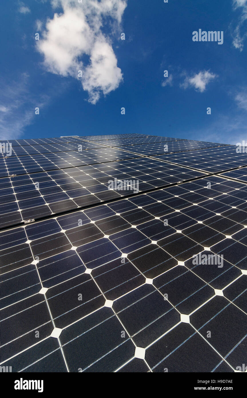 Impianto fotovoltaico (celle solari) Foto Stock