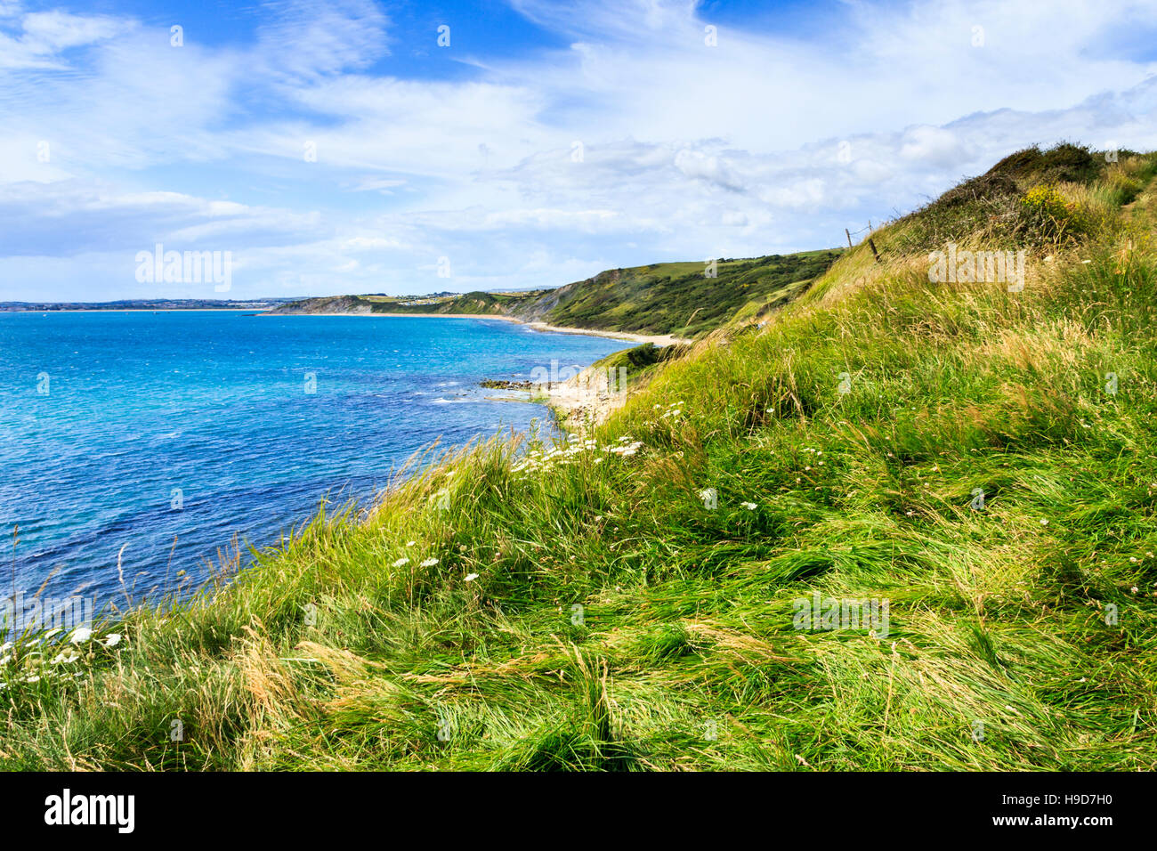 Vista sulla Baia di Weymouth da South West Coast Path, Dorset, England, Regno Unito Foto Stock