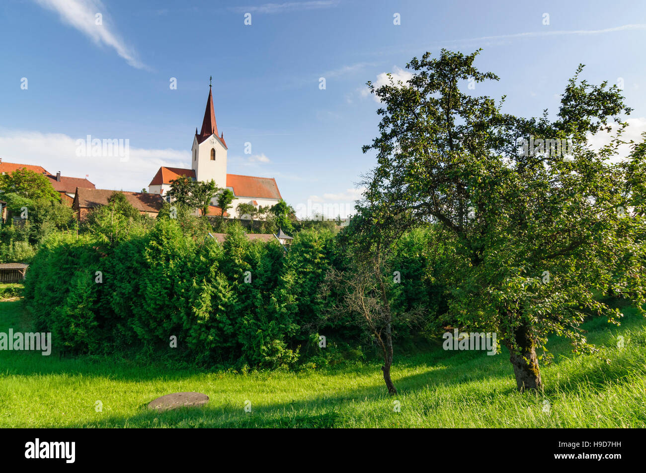 Schweiggers: chiesa, Waldviertel, Niederösterreich, Austria Inferiore, Austria Foto Stock