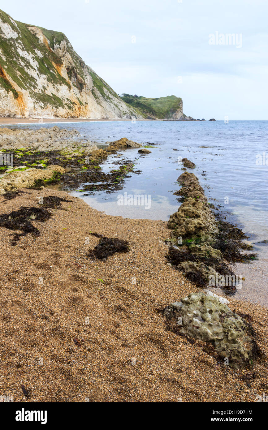 Vista mare da uomo o' War Cove, St Oswald's Bay, Dorset, England, Regno Unito Foto Stock