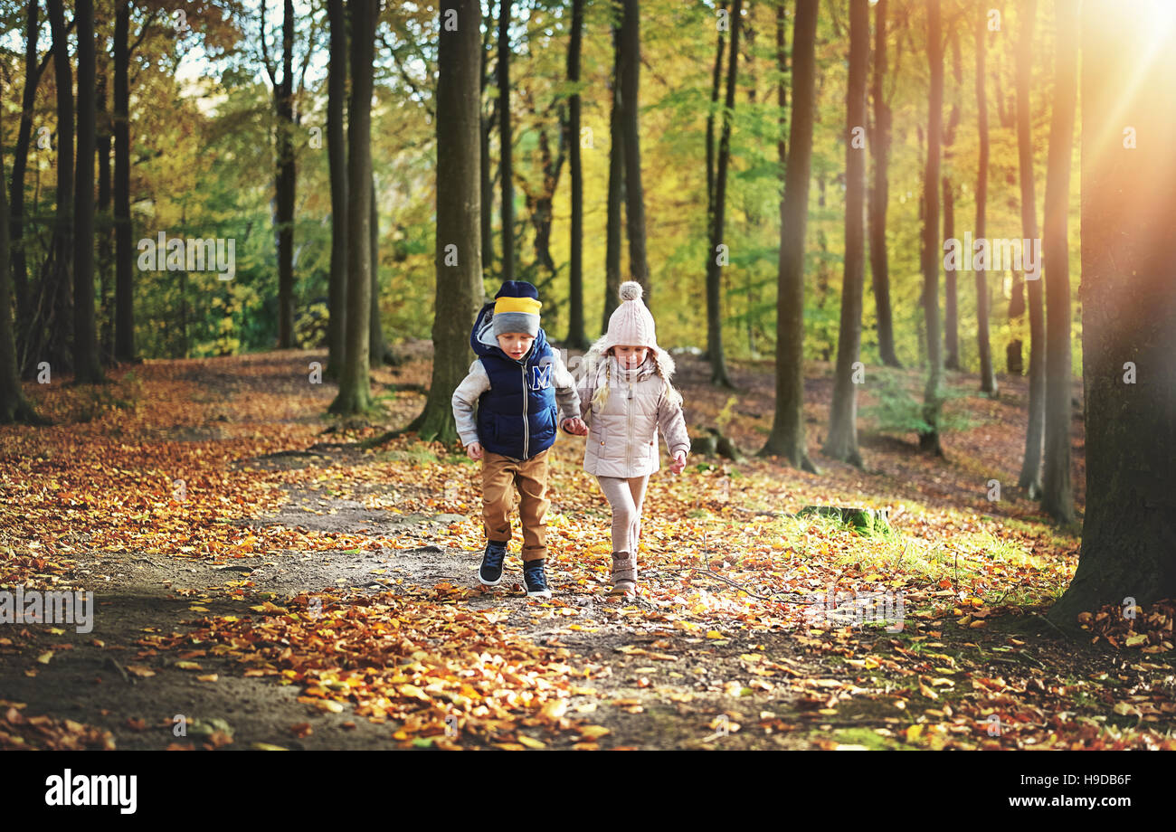 Due passeggiate nella foresta dei bambini. All'aperto orizzontale shot Foto Stock