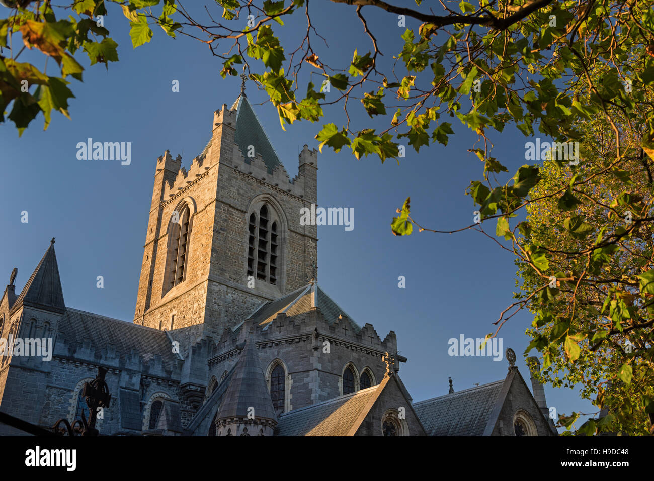 La cattedrale di Christ Church Dublino Irlanda Foto Stock